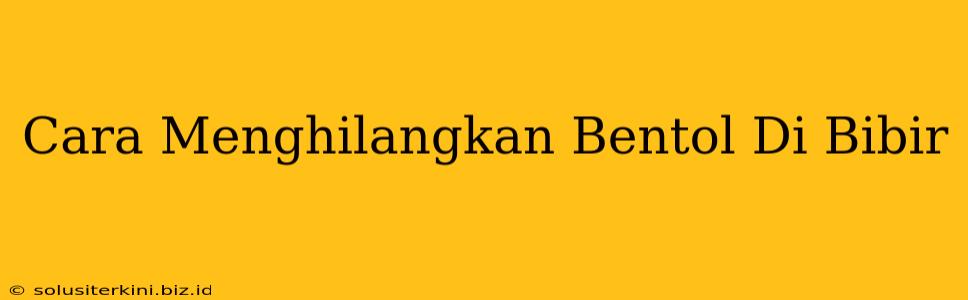 Cara Menghilangkan Bentol Di Bibir