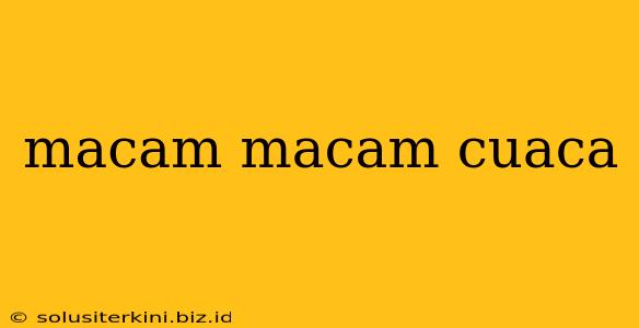 macam macam cuaca