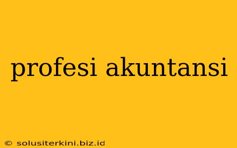 profesi akuntansi