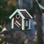 Home Insurance Coverage