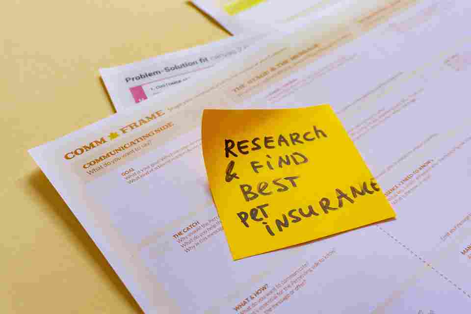The Reality Of Pet Insurance Coverage For Cancer Treatments