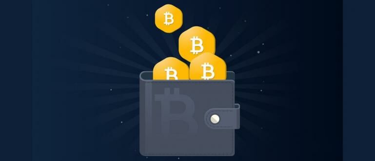 Dompet Crypto Error? Tenang! Solusi Lengkap & Anti Ribet Ada di Sini!